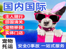 烟台国际宠物托运 【国